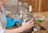 How to adjust Tension on Your Sewing Machine? Step by step